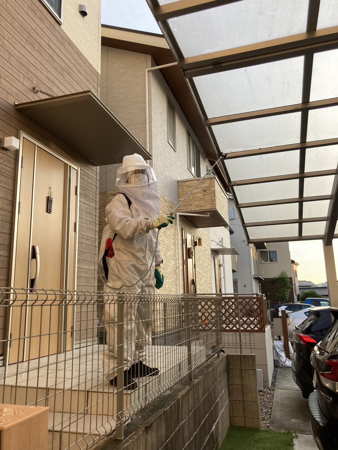 【事例3】江南市江森町｜アパート共有部のベランダに潜むアシナガバチの巣駆除